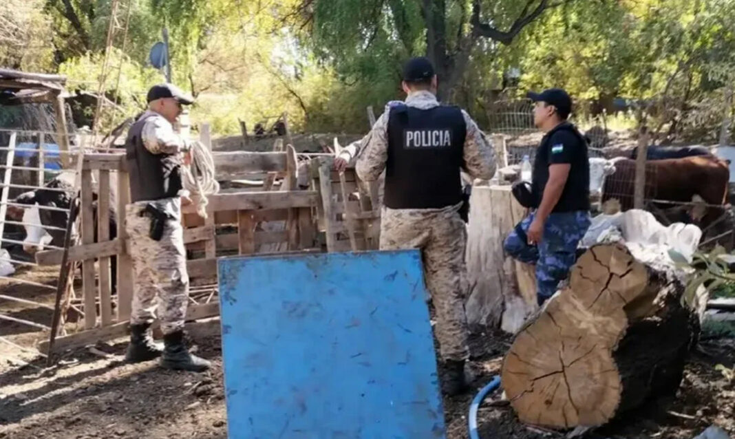 Tras un operativo, la Policía de Río Negro desmantelo un matadero clandestino que funcionaba en una chacra del barrio Labraña a metros del río Neuquén. Se secuestraron equinos y vacas en condiciones deplorables, y se tomaron muestras del río por posible contaminación.